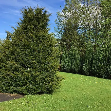 Appartement Sky Winterberg