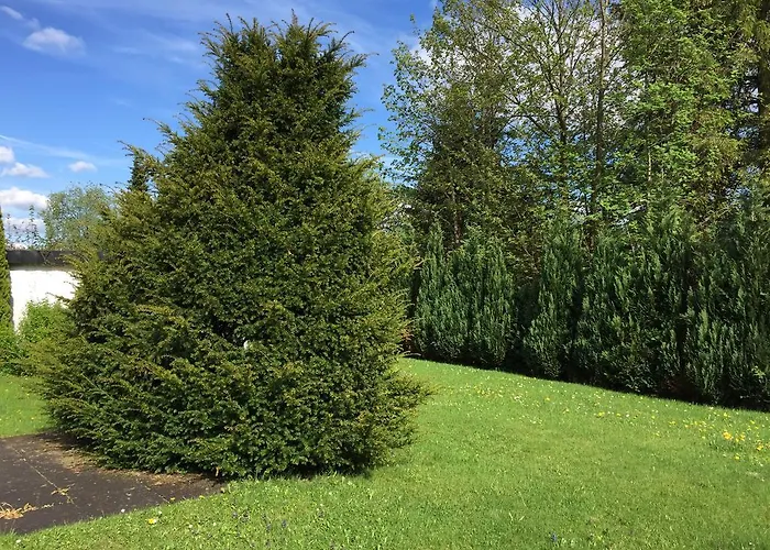 Apartman Sky Winterberg